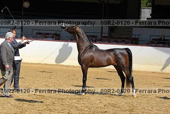 Proof 09r2-0120