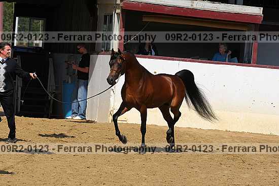Proof 09r2-0123