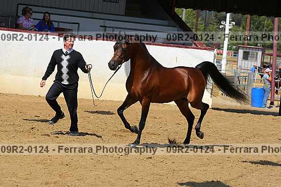 Proof 09r2-0124