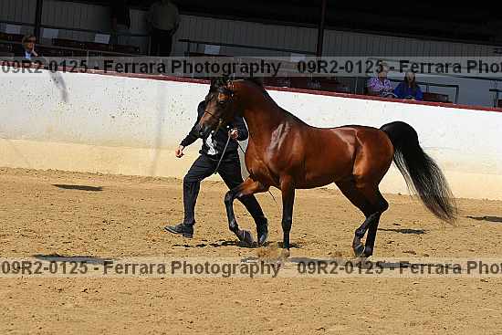 Proof 09r2-0125
