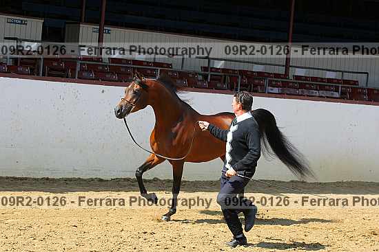 Proof 09r2-0126