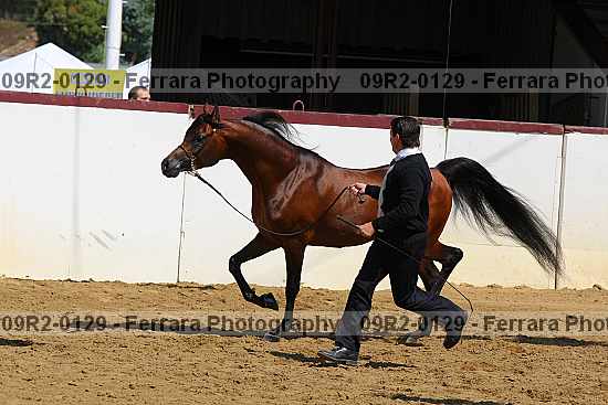 Proof 09r2-0129