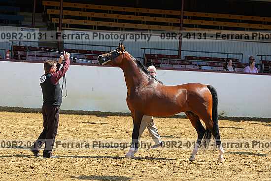 Proof 09r2-0131