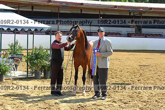 Proof 09r2-0134