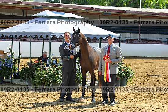 Proof 09r2-0135
