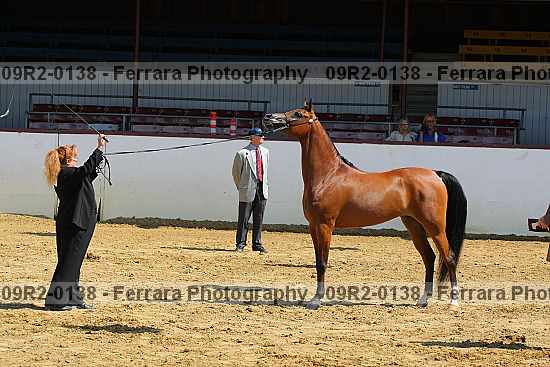 Proof 09r2-0138