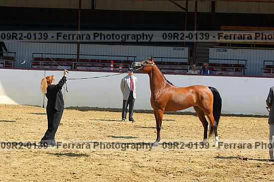 Proof 09r2-0139