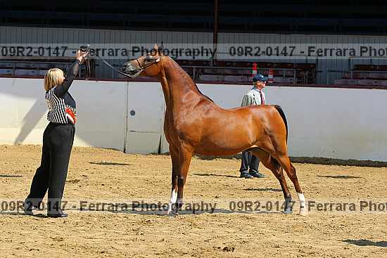 Proof 09r2-0147