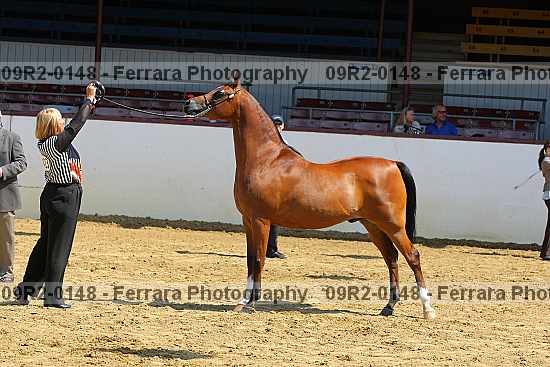 Proof 09r2-0148