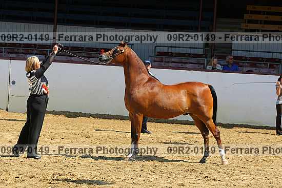 Proof 09r2-0149