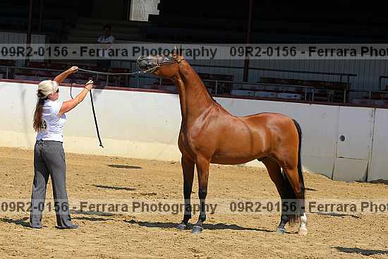 Proof 09r2-0156