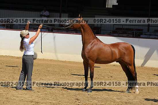 Proof 09r2-0158