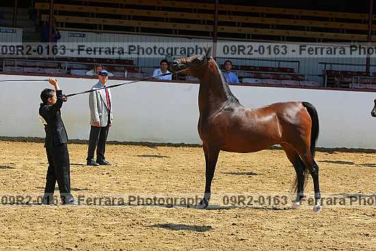 Proof 09r2-0163