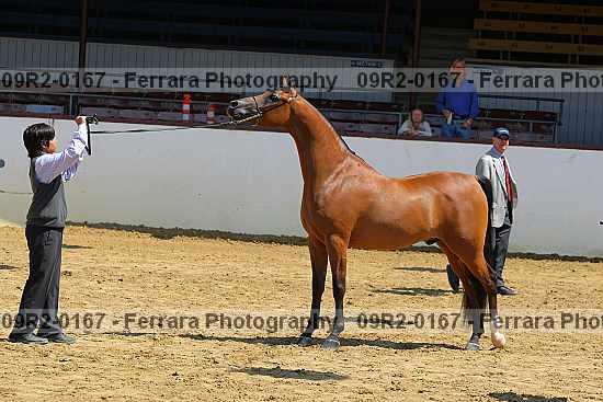 Proof 09r2-0167