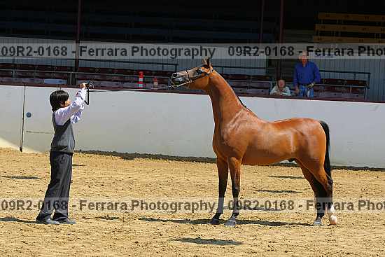 Proof 09r2-0168