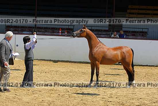 Proof 09r2-0170