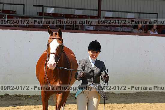 Proof 09r2-0172
