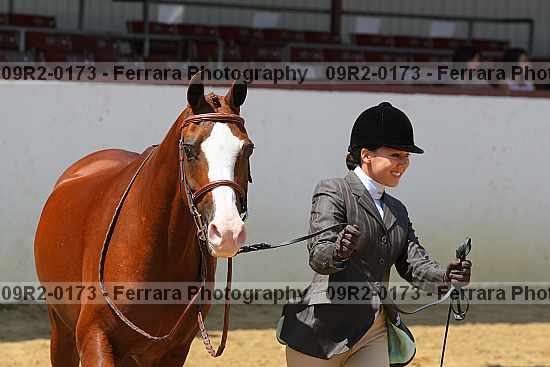 Proof 09r2-0173