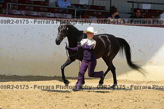 Proof 09r2-0175