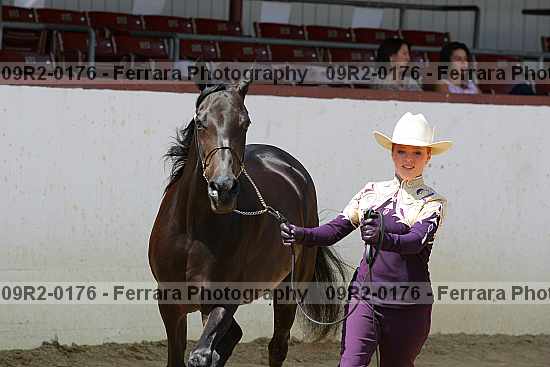 Proof 09r2-0176