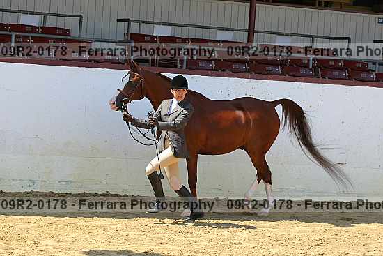Proof 09r2-0178