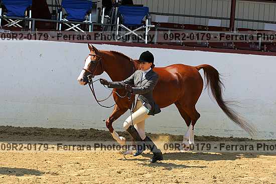 Proof 09r2-0179
