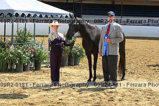 Proof 09r2-0181