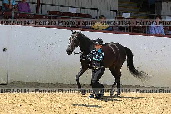 Proof 09r2-0184