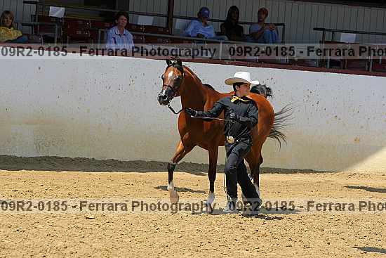 Proof 09r2-0185