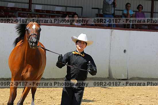 Proof 09r2-0187