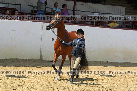 Proof 09r2-0188