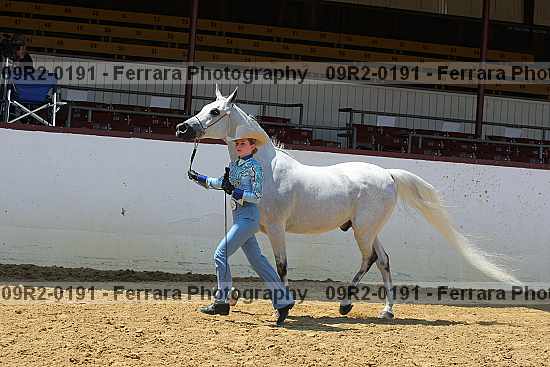 Proof 09r2-0191