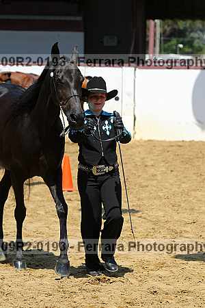 Proof 09r2-0193