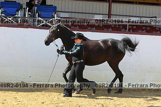 Proof 09r2-0194