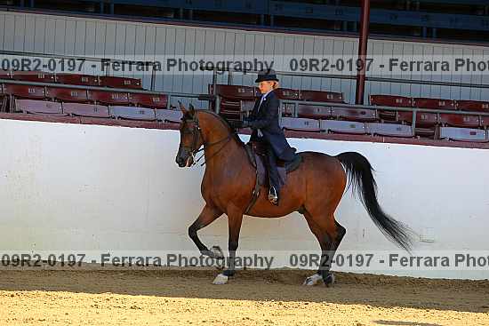 Proof 09r2-0197