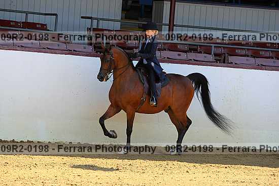 Proof 09r2-0198