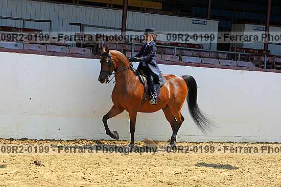 Proof 09r2-0199