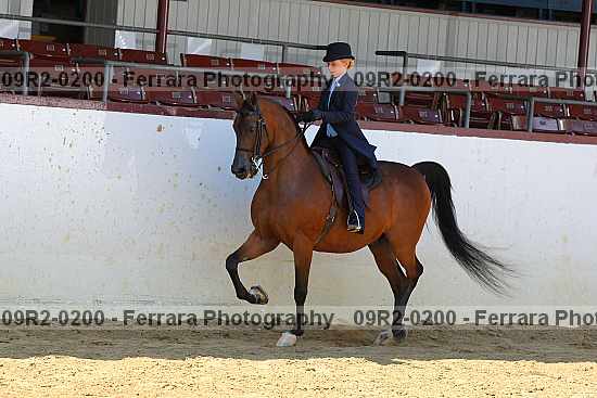 Proof 09r2-0200