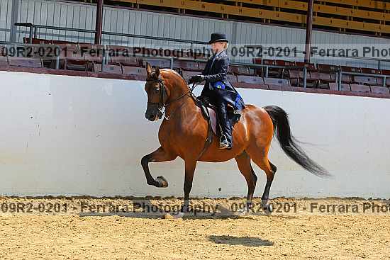 Proof 09r2-0201