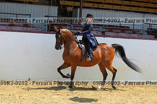Proof 09r2-0202