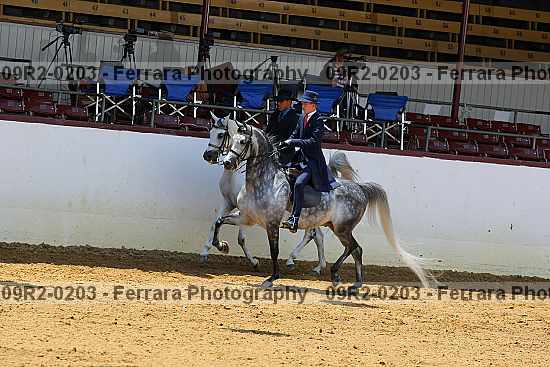 Proof 09r2-0203