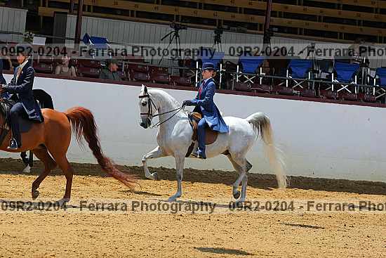 Proof 09r2-0204
