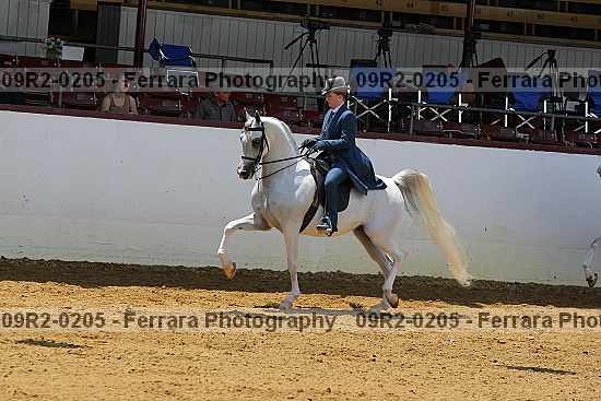 Proof 09r2-0205