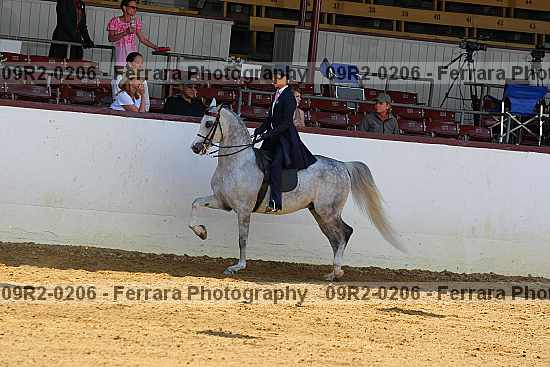 Proof 09r2-0206