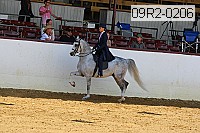 09r2-0206 proof
