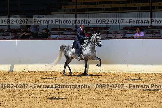 Proof 09r2-0207