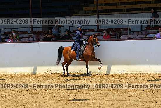 Proof 09r2-0208