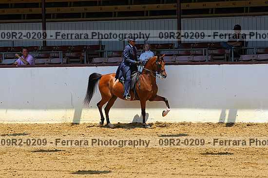 Proof 09r2-0209