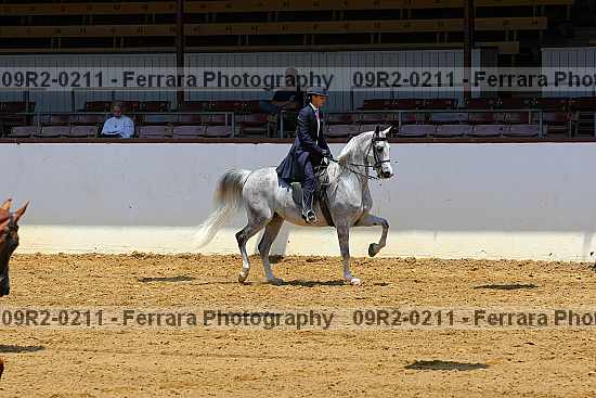 Proof 09r2-0211