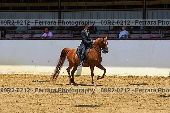 Proof 09r2-0212